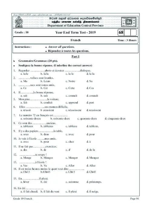 Grade 10 French Third Term 2019 Central Provience (EM) thumbnail
